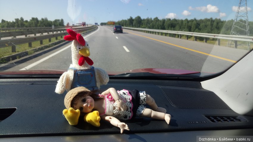 Два путешественника ехали к неведомому берегу (фото 7)