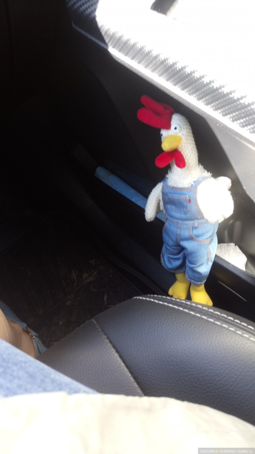 Два путешественника ехали к неведомому берегу (фото 6)