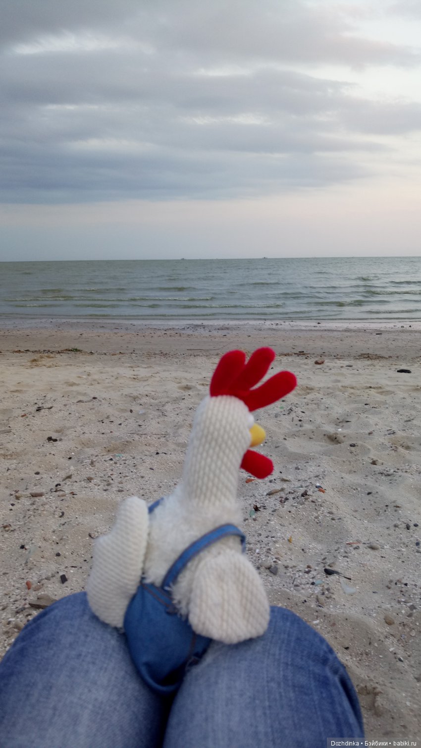 Два путешественника ехали к неведомому берегу