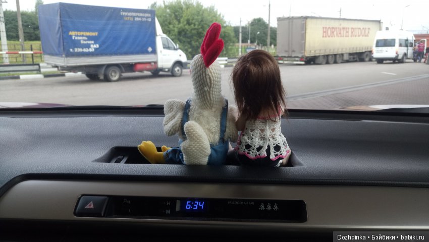 Два путешественника ехали к неведомому берегу (фото 2)