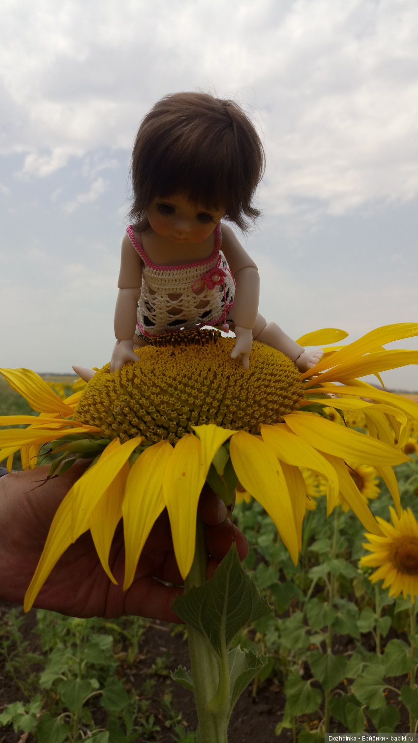 Два путешественника ехали к неведомому берегу (фото 10)