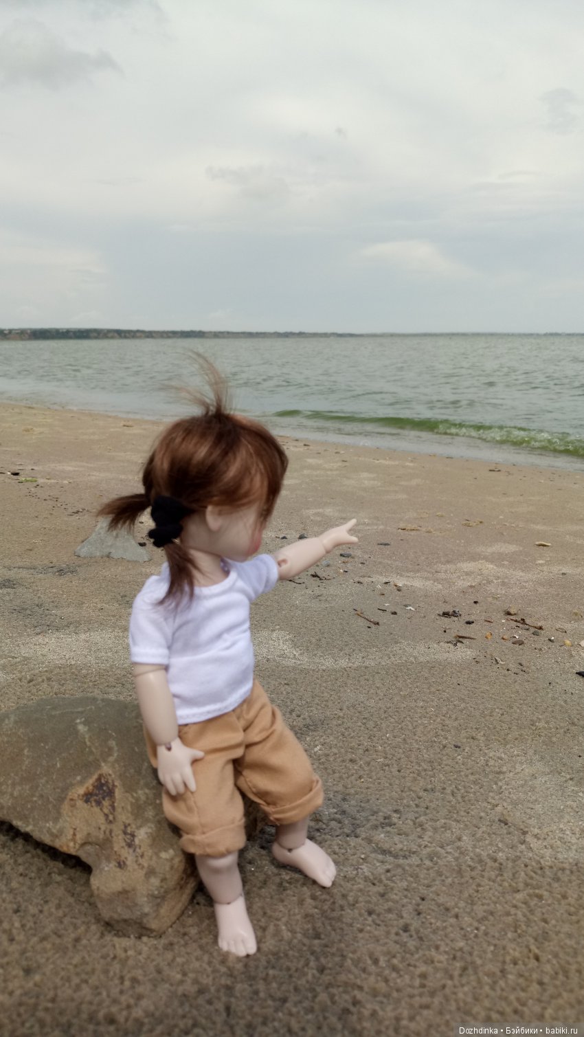 Два путешественника ехали к неведомому берегу