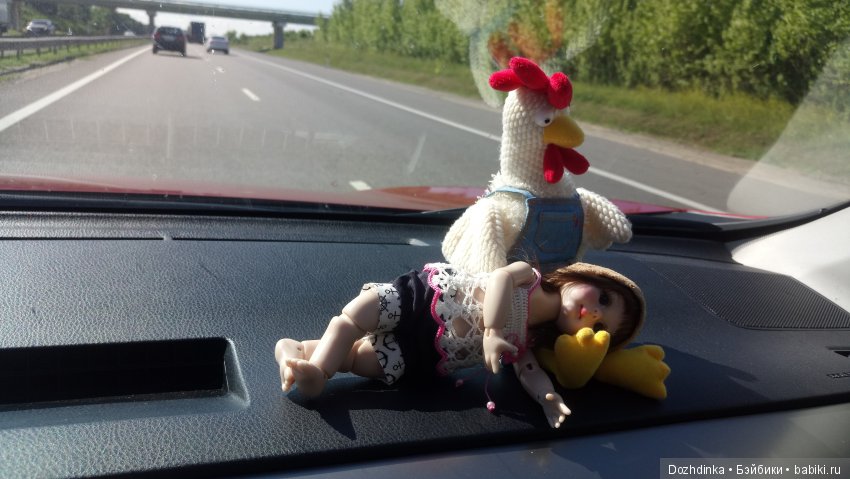 Два путешественника ехали к неведомому берегу (фото 9)