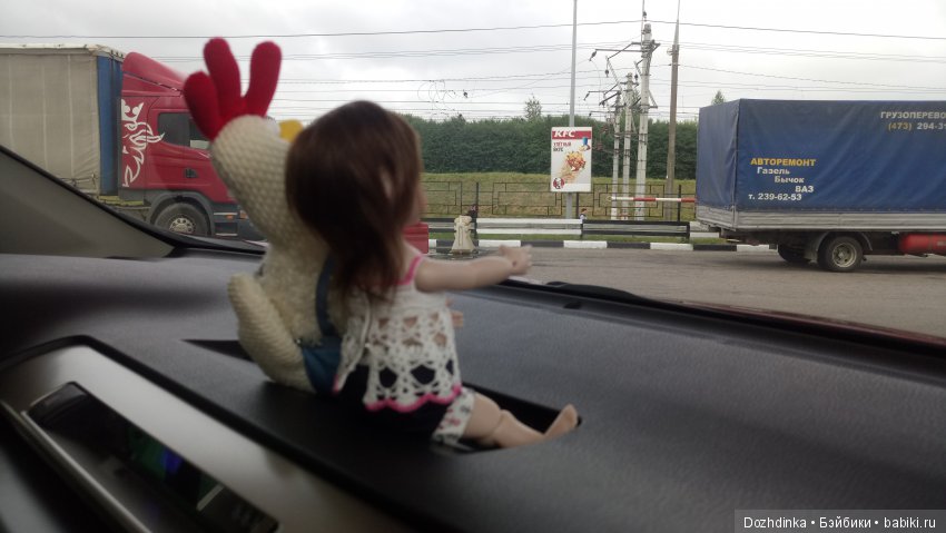 Два путешественника ехали к неведомому берегу (фото 3)