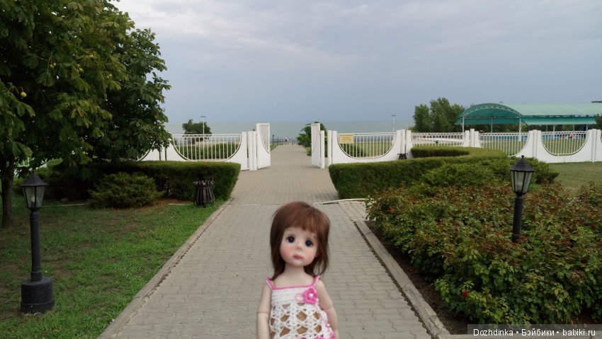 Два путешественника ехали к неведомому берегу