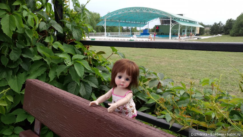 Два путешественника ехали к неведомому берегу