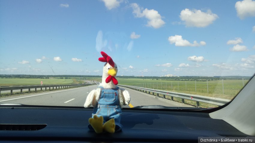 Два путешественника ехали к неведомому берегу (фото 4)