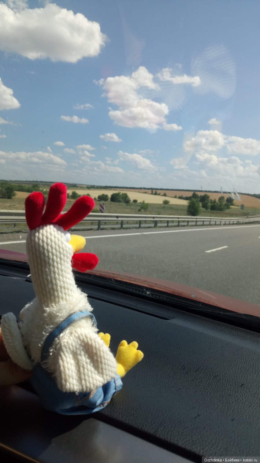 Два путешественника ехали к неведомому берегу (фото 8)