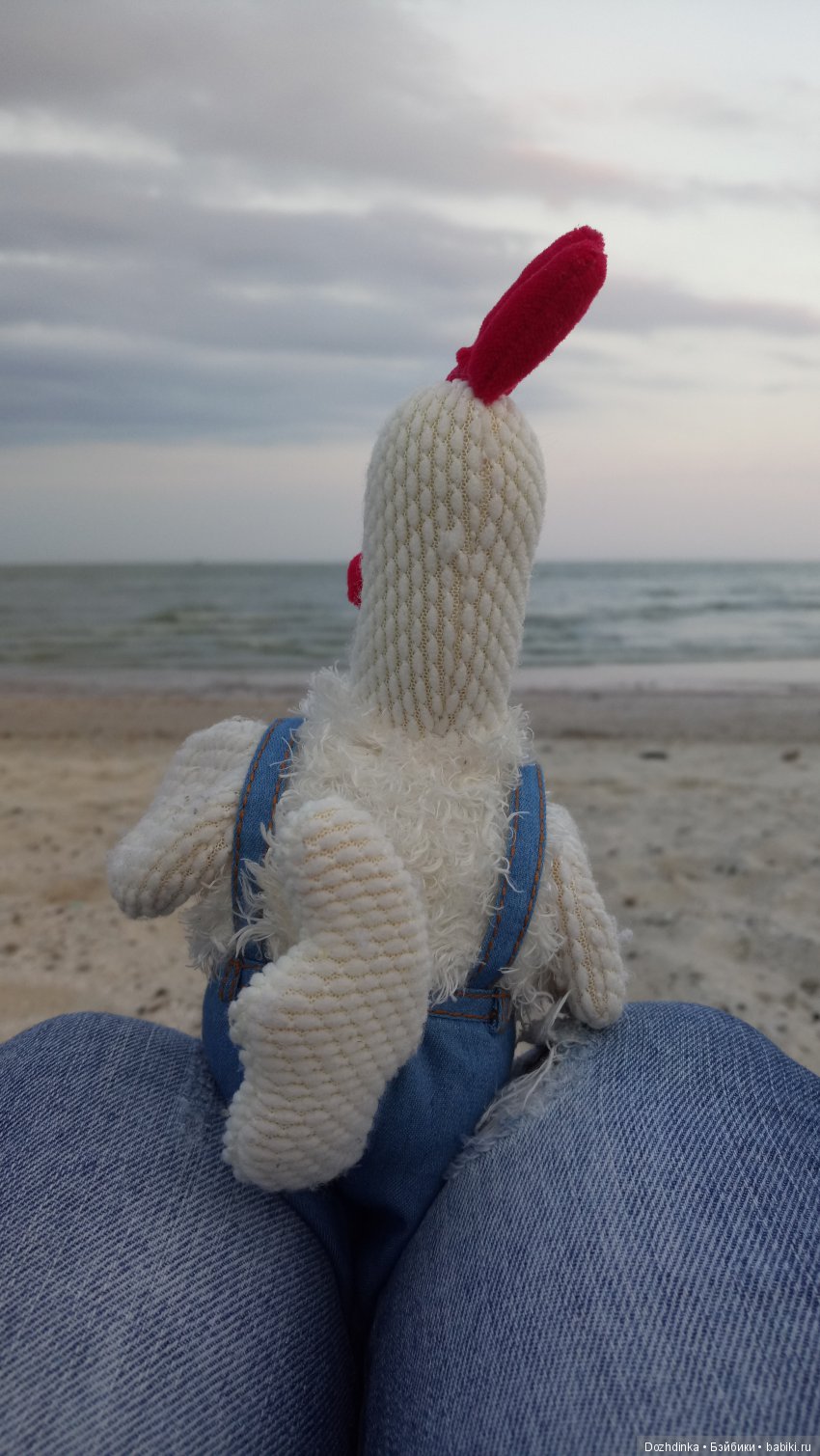 Два путешественника ехали к неведомому берегу