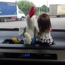 Два путешественника ехали к неведомому берегу