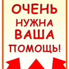 Ищу Наталью Аюпову