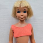 Винтажная Скиппер