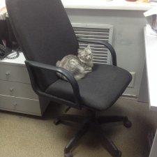 Жгут из бисера крючком