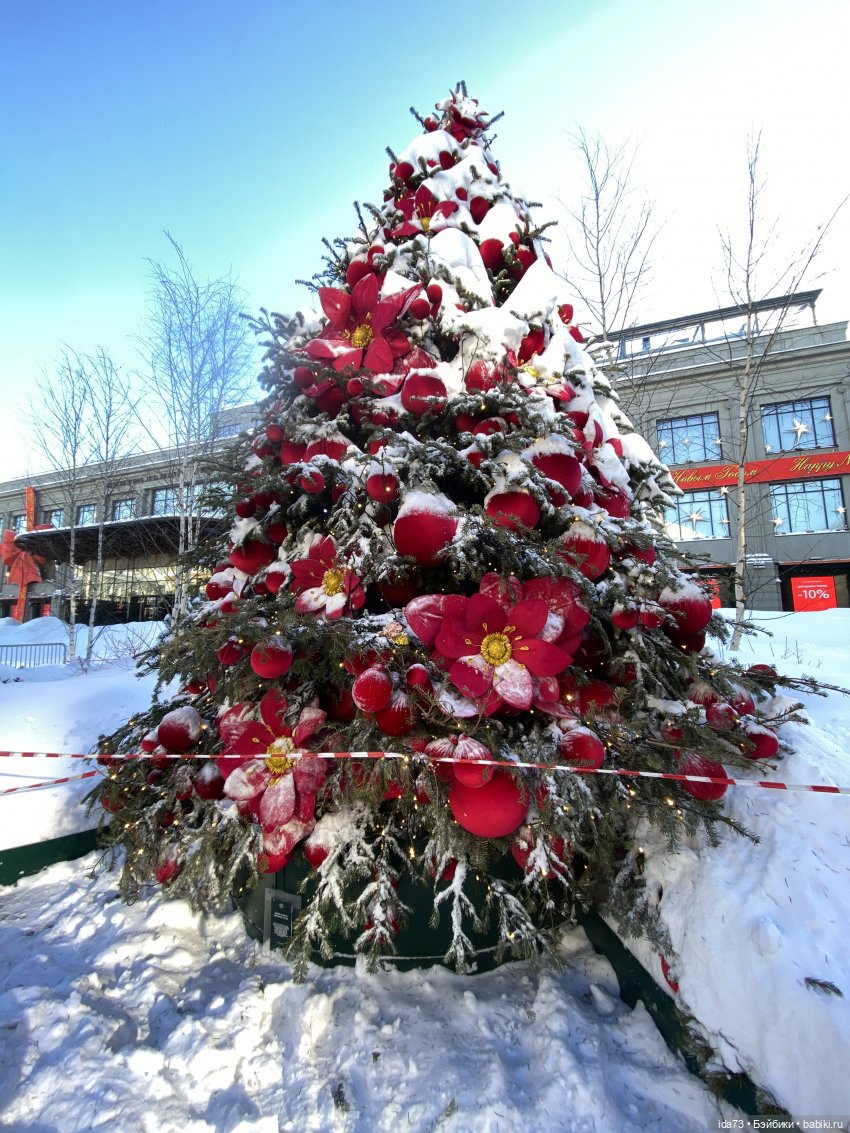 Прогулка с моей Звездочкой