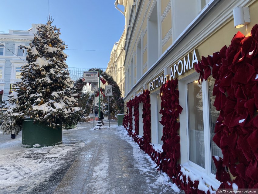 Прогулка с моей Звездочкой (фото 3)