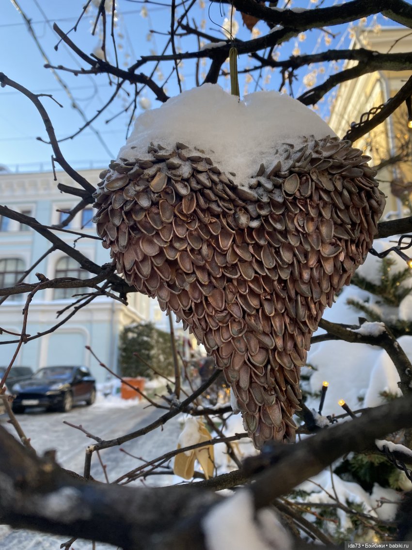 Прогулка с моей Звездочкой