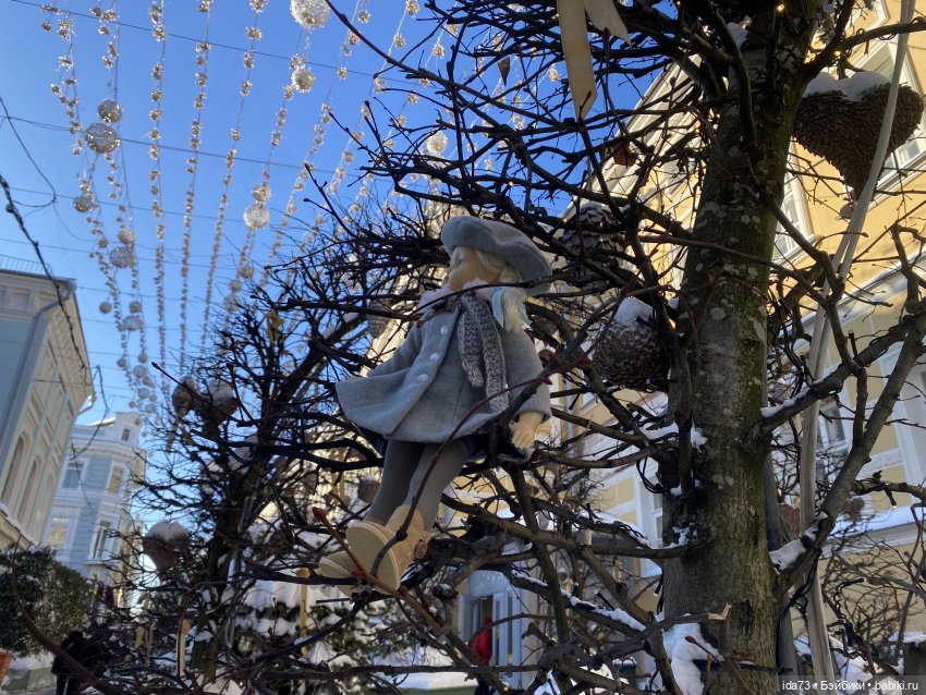 Прогулка с моей Звездочкой