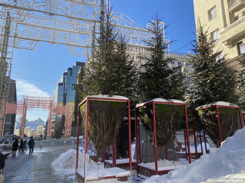 Прогулка с моей Звездочкой