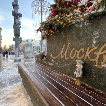 Прогулка с моей Звездочкой