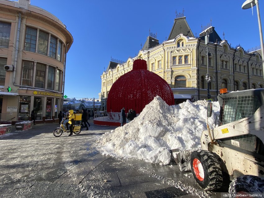 Прогулка с моей Звездочкой (фото 2)
