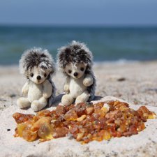 Как мы с ежатами янтарь собирали