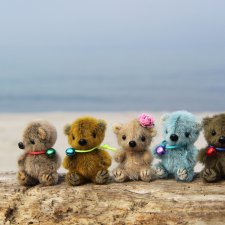 Медвежата и море