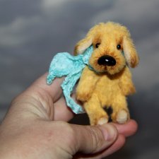 Преданней собаки нету существа