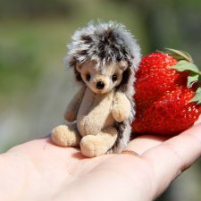 Маленькие ёжики, ставшие большими друзьями