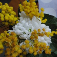 С весной, Весенние