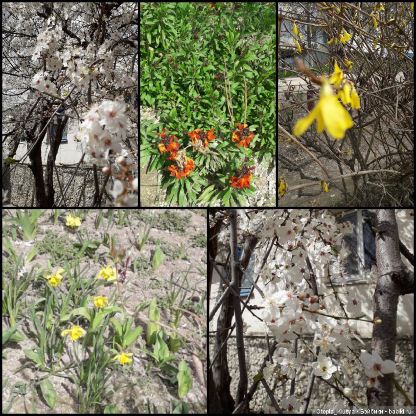 Волшебное событие — Болталка и разговоры обо всем: жизнь (фото 3)