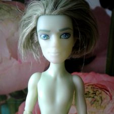 Портер Гейсс ( Monster High)