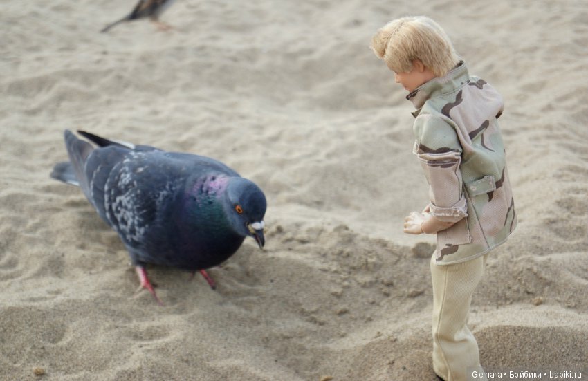 Счастливое лето 2019 — Разные шарнирные куклы (не БЖД): редкие