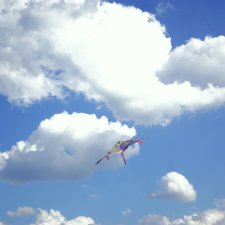 Счастливое лето 2019