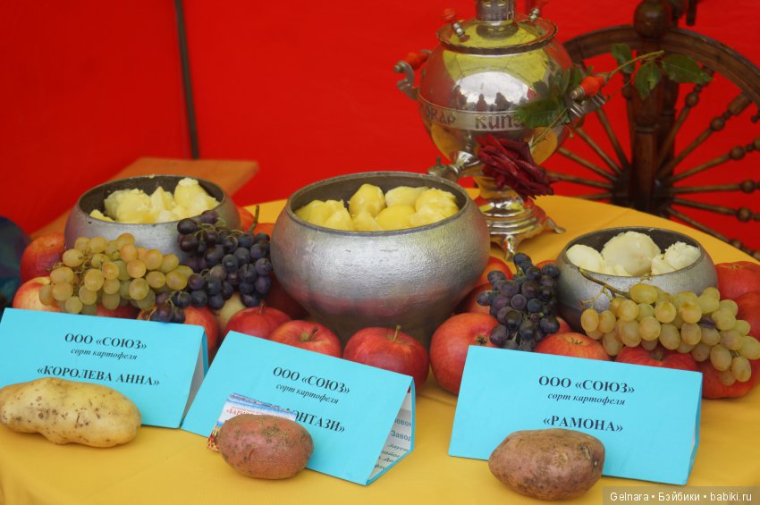 September fest — Интересное обо всем: поздравления (фото 6)