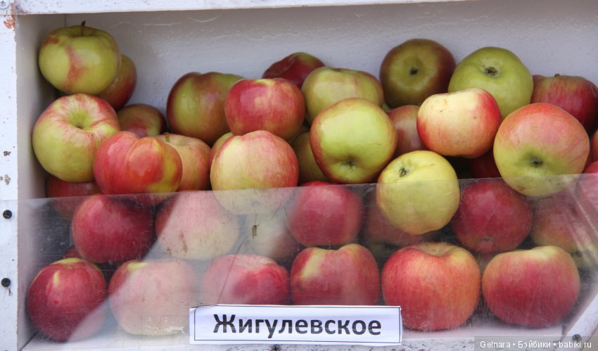 September fest — Интересное обо всем: поздравления