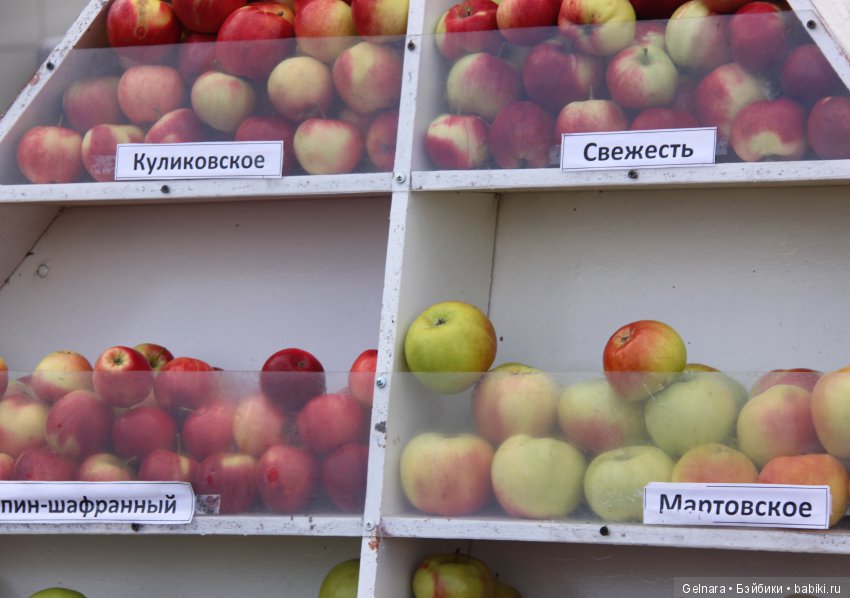 September fest — Интересное обо всем: поздравления