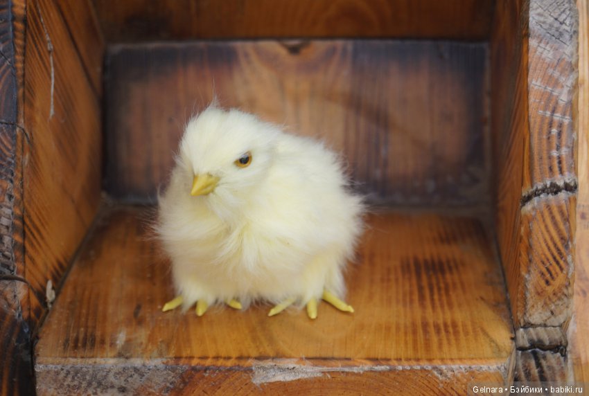 September fest — Интересное обо всем: поздравления