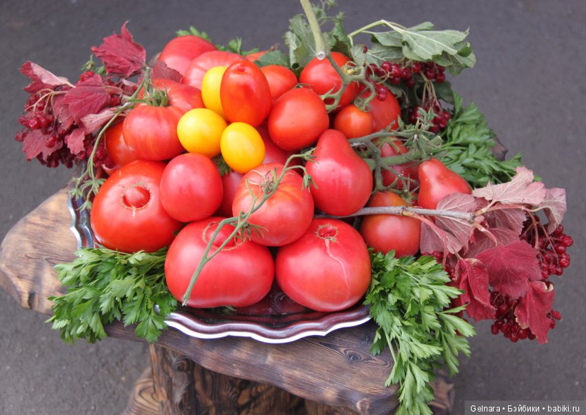 September fest — Интересное обо всем: поздравления