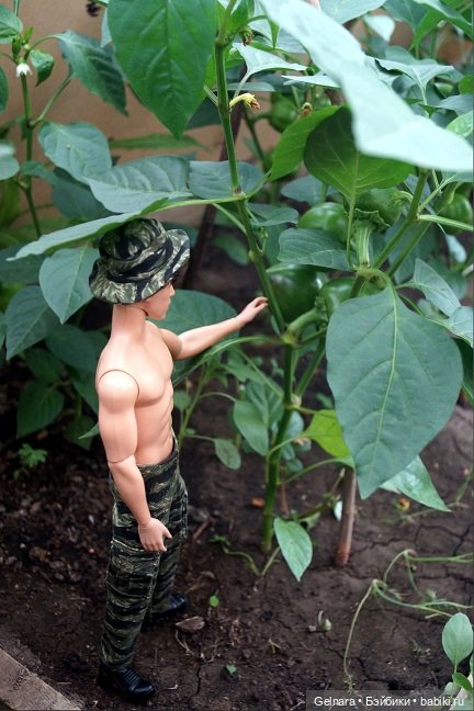 В ожидании лета — Разные шарнирные куклы (не БЖД): редкие (фото 7)