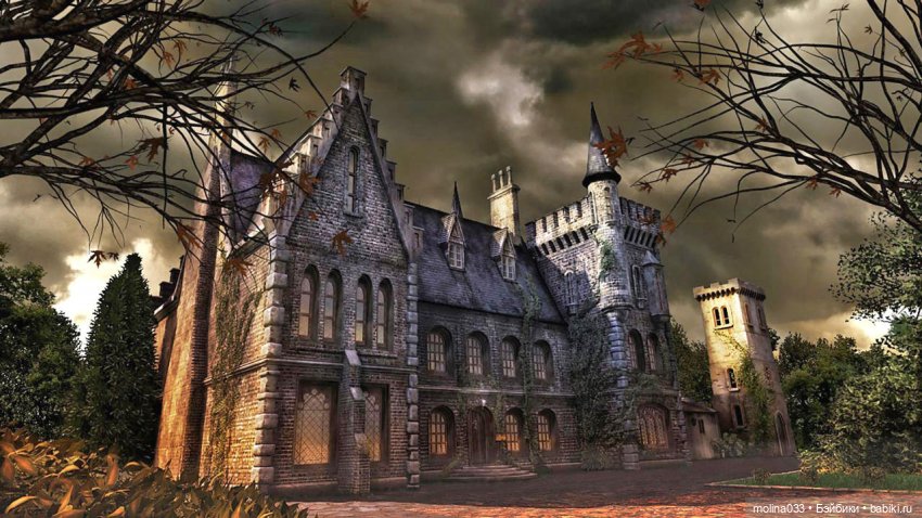 Вампирская сага-4, серия 16. После выставки