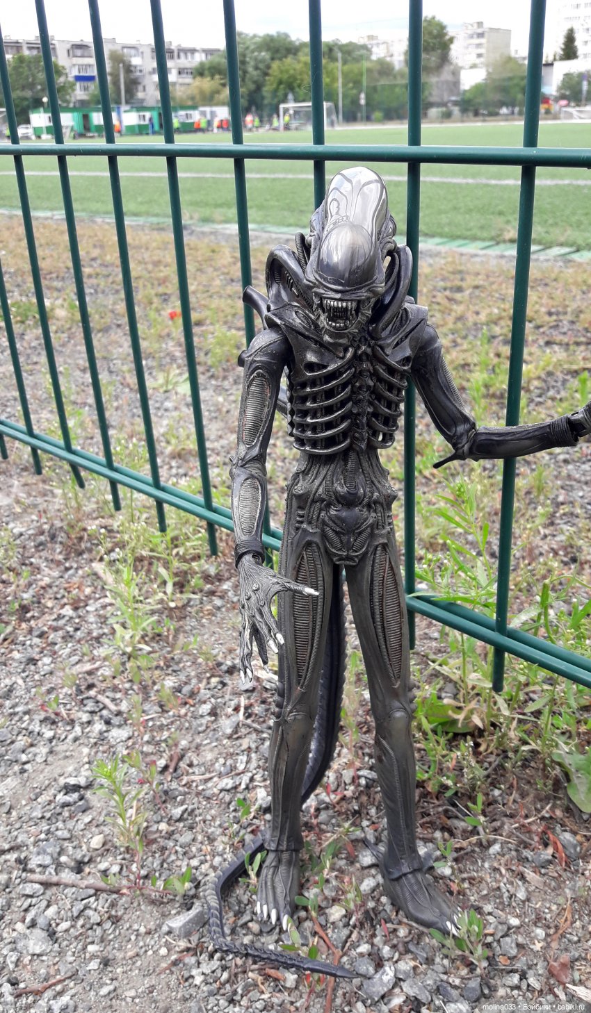 Свой среди чужих | Бэйбики Свой среди чужих — Коллекционные экшн