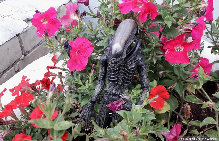 Свой среди чужих | Бэйбики Свой среди чужих — Коллекционные экшн (фото 3)