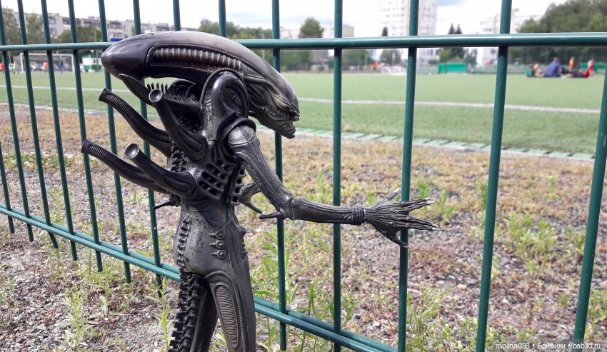 Свой среди чужих | Бэйбики Свой среди чужих — Коллекционные экшн