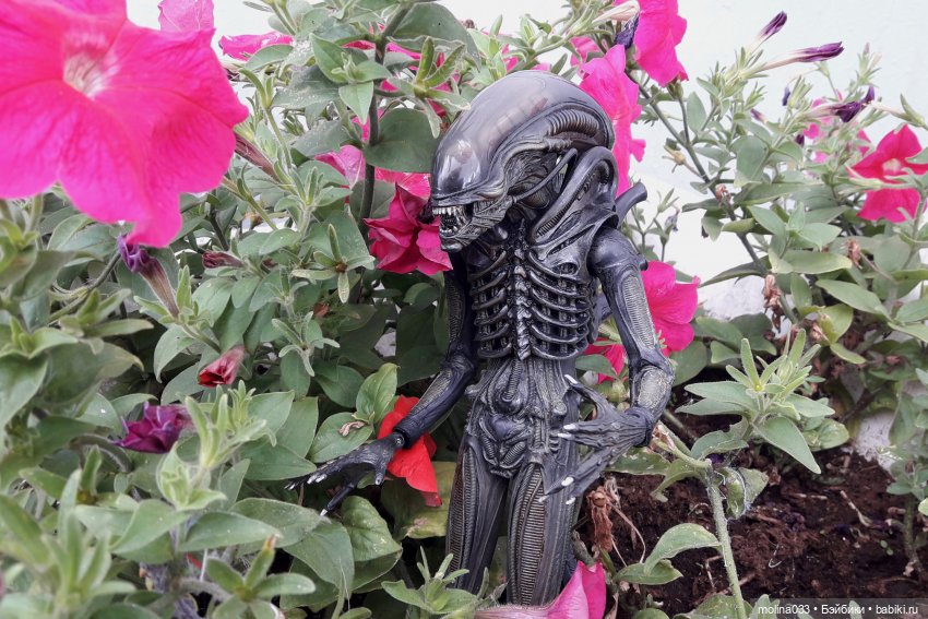 Свой среди чужих | Бэйбики Свой среди чужих — Коллекционные экшн (фото 2)