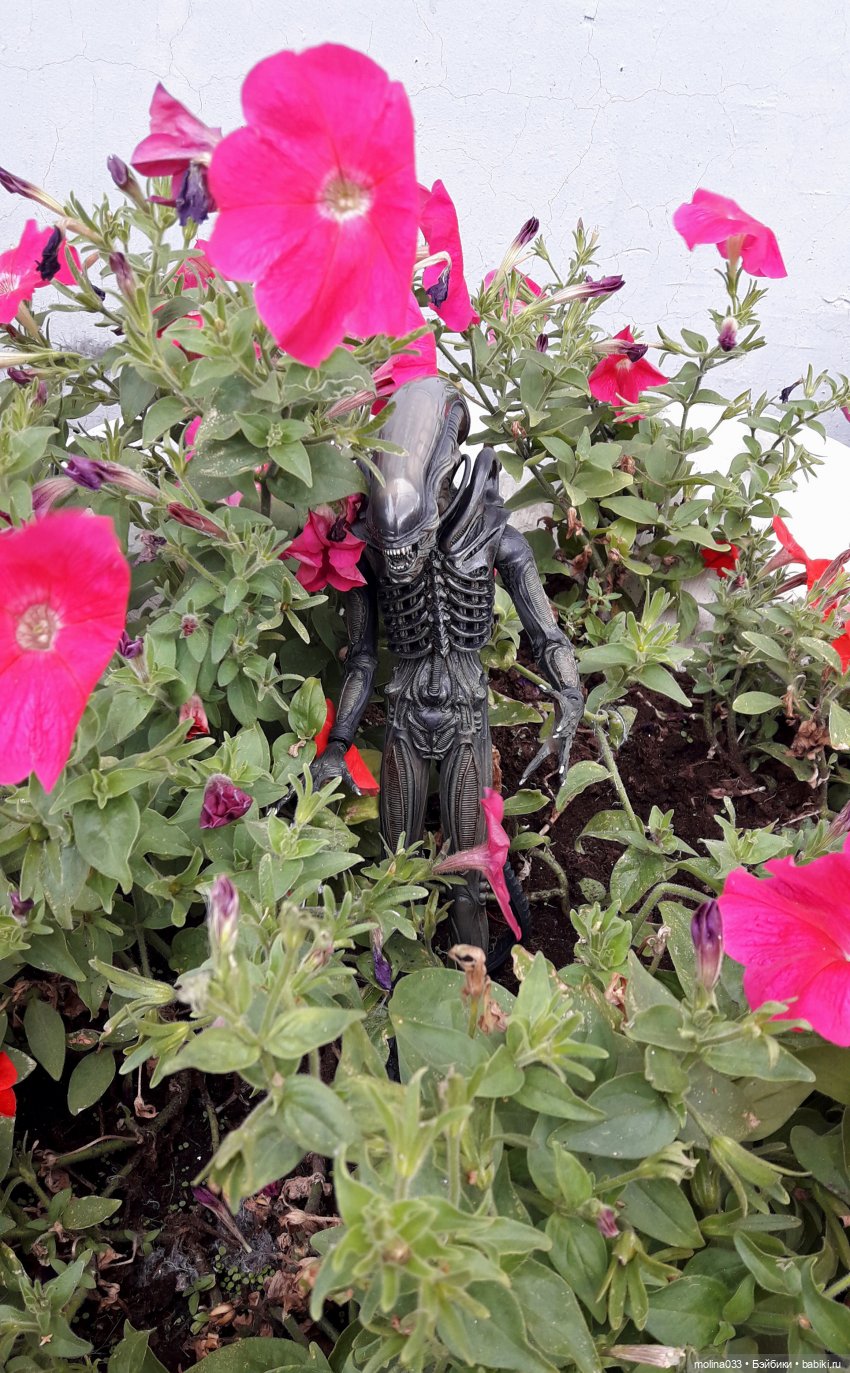 Свой среди чужих | Бэйбики Свой среди чужих — Коллекционные экшн