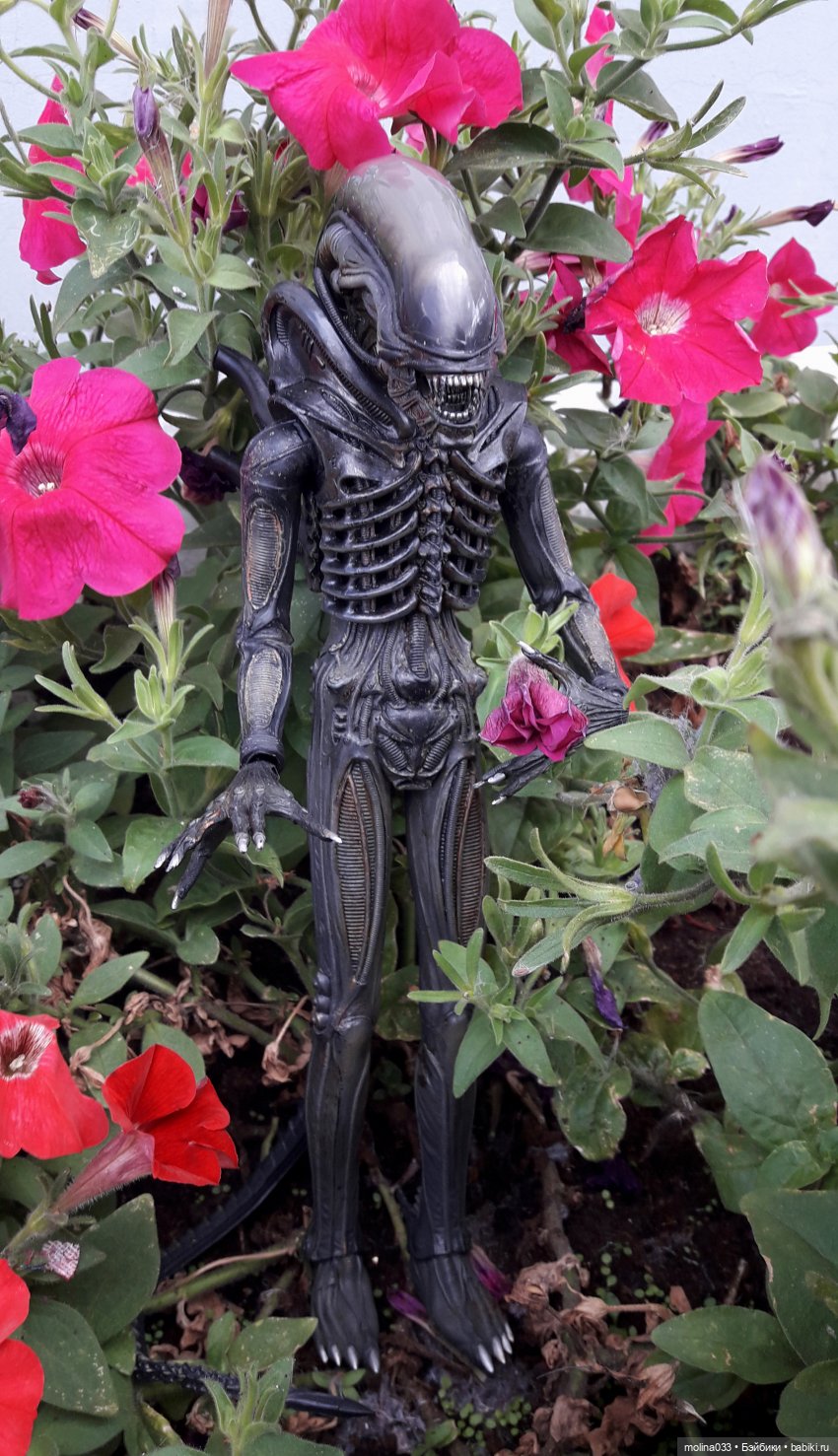 Свой среди чужих | Бэйбики Свой среди чужих — Коллекционные экшн (фото 5)