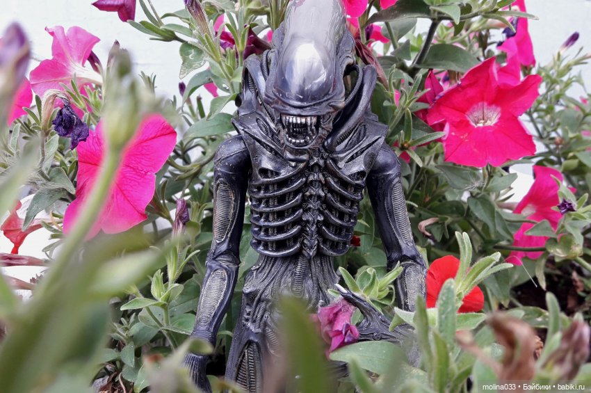 Свой среди чужих | Бэйбики Свой среди чужих — Коллекционные экшн (фото 4)