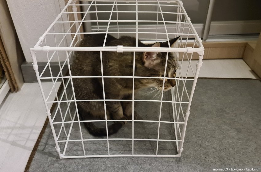 Снова Фикс Прайс — Интересное и необычное: фотоподборки (фото 4)