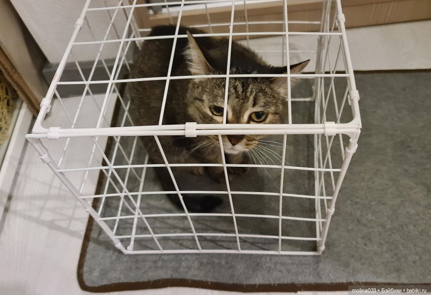 Снова Фикс Прайс — Интересное и необычное: фотоподборки (фото 5)