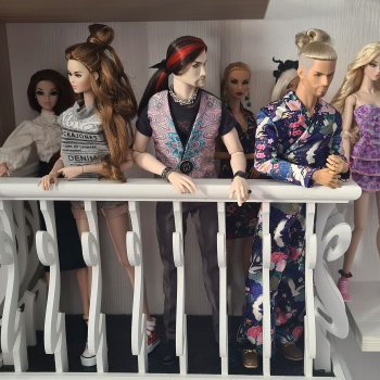 Жизнь на полках